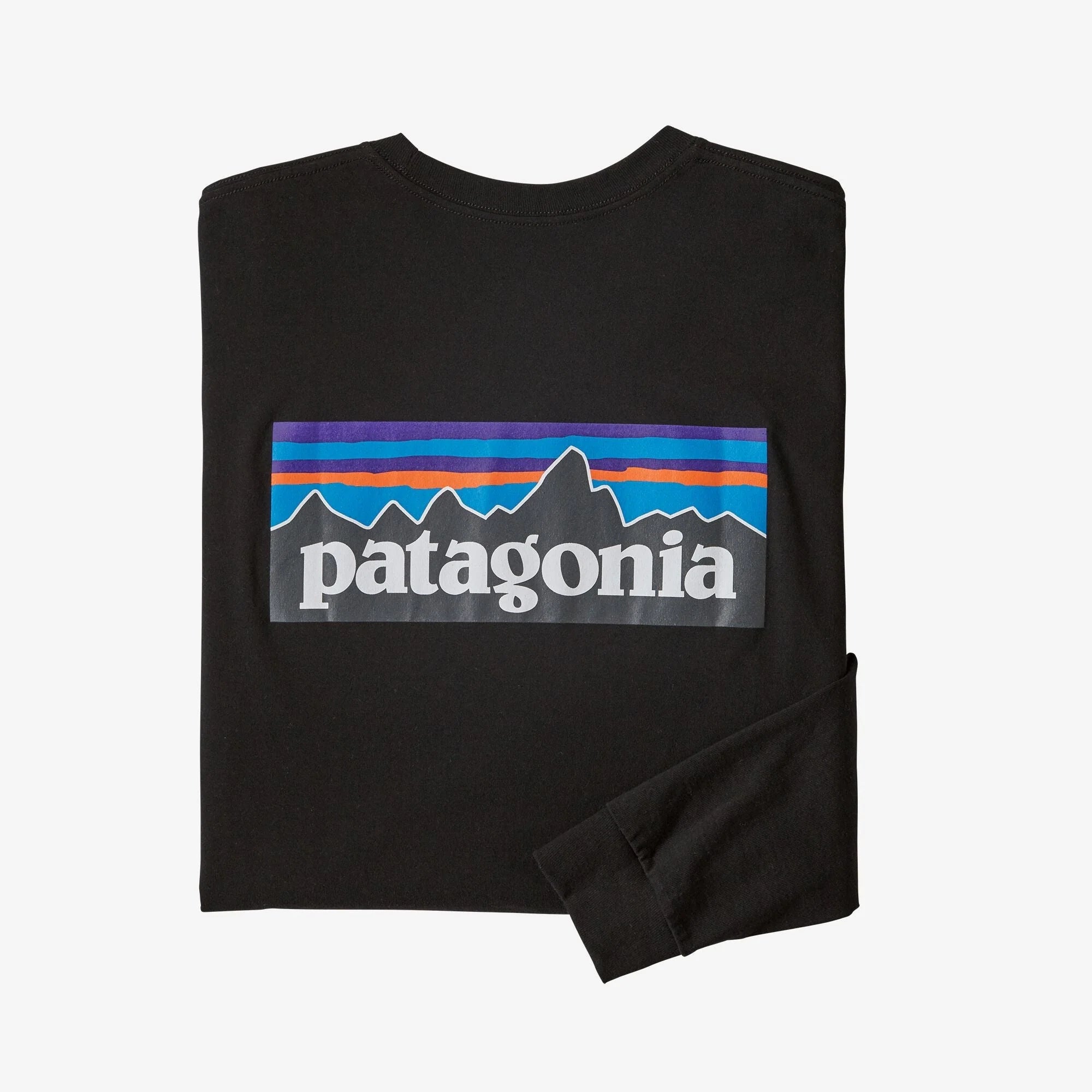 Patagonia t hotsell shirt sale